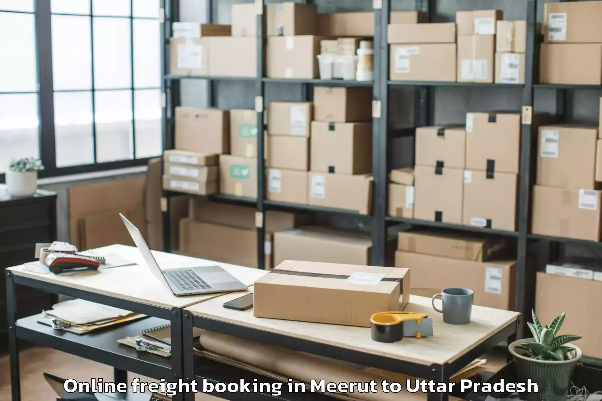 Professional Meerut to Purwa Online Freight Booking